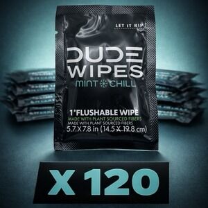 DUDE Wipes - Mint Chill Flushable Wipes (Plant-Based) - 120 Count